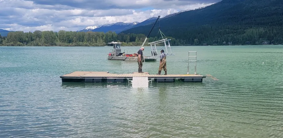 spring dock launch
